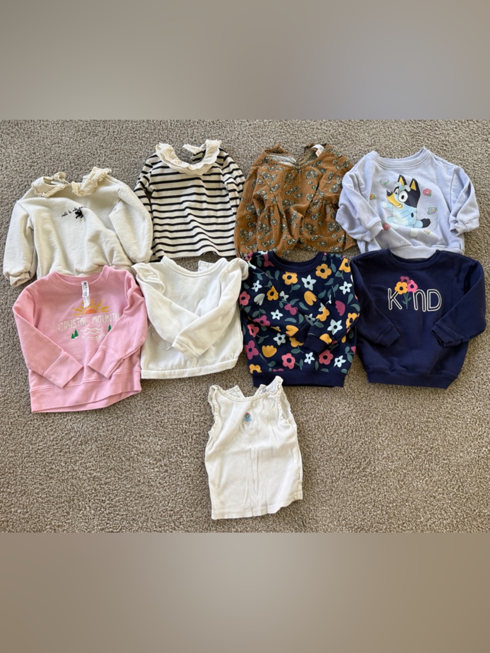 Girls Sweaters and Shirts (2T)